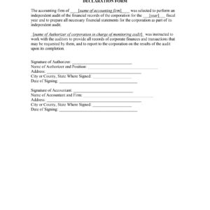 Independent Audit of Corporate Financial Records Declaration Form