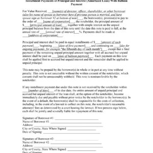 Promissory Note — Installment Payments, Amortized Loan, With Balloon Payment