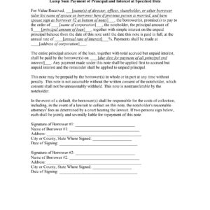 Promissory Note — Lump Sum Payment at Specified Date