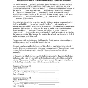 Promissory Note — Lump Sum Payment on Demand by Noteholder