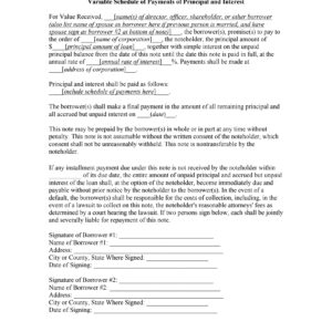 Promissory Note — Variable Schedule of Payments